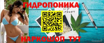 хмурый Малгобек