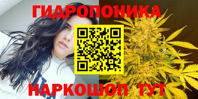 хмурый Малгобек