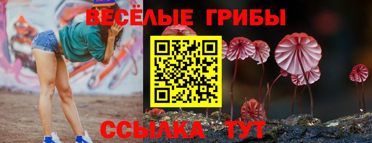 Усинск  Псилоцибиновые грибы Psilocybe  Вход с VPN 